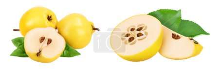 Fresh quince with half isolated on the white background with full depth of field.