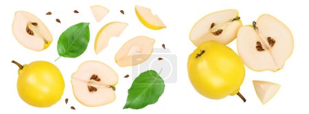 Fresh quince with half and slices isolated on the white background with full depth of field. Top view. Flat lay.