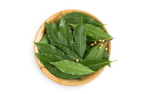 Fresh Laurel leaves in wooden bowl isolated on white background. Green bay leaf. Top view. Flat lay