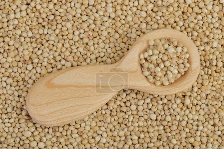 Foto de Fondo de semillas de sorgo con cuchara de madera. Vista superior. Puesta plana - Imagen libre de derechos