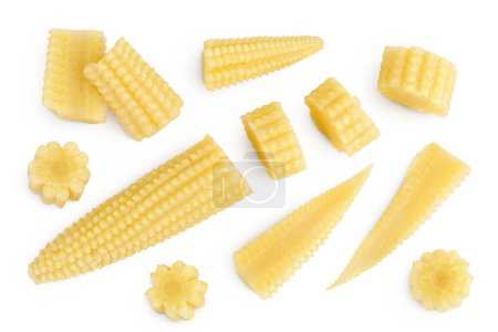 Pickled young baby corn cobs isolated on white background. Top view. Flat lay.