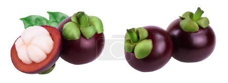 ripe mangosteen with leaf isolated on white background closeup.