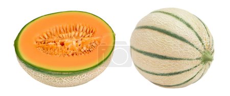 melon Cantaloup à moitié isolé sur fond blanc avec pleine profondeur de champ