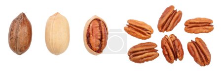 pecan nut isolated on white background. Top view. Flat lay. Set or collection.