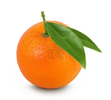Foto de Fruto naranja con hojas aisladas sobre fondo blanco con plena profundidad de campo. - Imagen libre de derechos