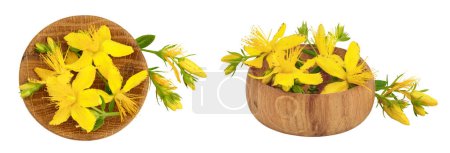 saint johns moût ou Hypericum fleurs dans un bol en bois isolé sur fond blanc. Vue de dessus. Pose plate.