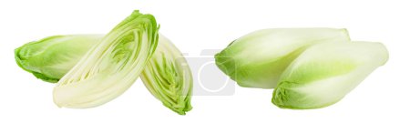 Chicory salad isolated on white background with  full depth of field