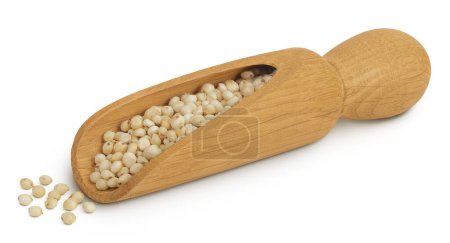 Foto de Semillas de sorgo en cuchara de madera aisladas sobre fondo blanco con profundidad total de campo - Imagen libre de derechos