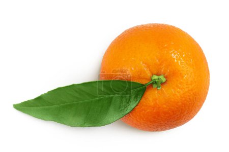 Foto de Fruto naranja con hoja aislada sobre fondo blanco. Vista superior. Puesta plana - Imagen libre de derechos