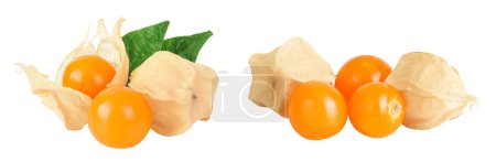 Cape gooseberry or physalis isolated on white background wit full depth of field.