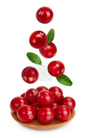 Cranberry in wooden bowl isolated on white background with full depth of field.