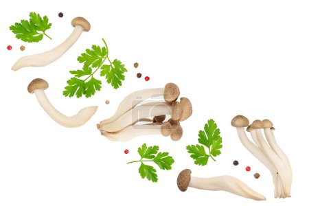 Brown beech mushrooms or Shimeji mushroom isolated on white background . Top view, flat lay,