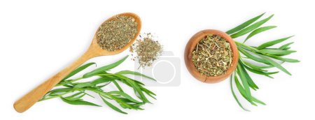 tarragon or estragon fresh and dried in wooden spoon and bowl isolated on a white background with copy space for your text. Top view. Flat lay.