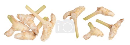 Fresh galangal root isolated on white background with full depth of field. Top view. Flat lay.