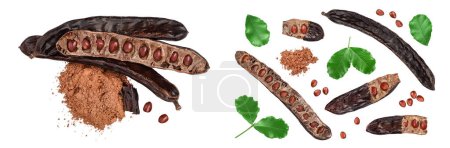 Carob pod and powder isolated on white background with full depth of field. Top view. Flat lay.