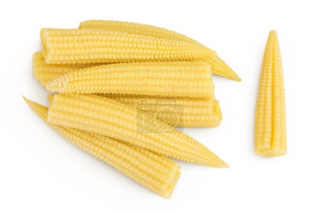 Pickled young baby corn cobs isolated on white background Top view. Flat lay.