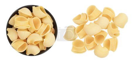 lumaconi pasta in ceramic bowl isolated on white background with full depth of field. Top view. Flat lay.