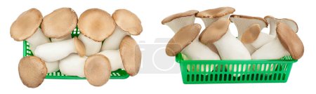 King Oyster mushroom or Eringi in wicker basket isolated on white background with clipping path. Top view. Flat lay.