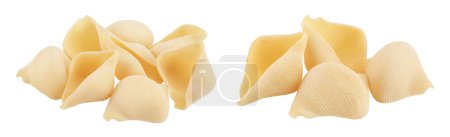 Conchiglioni italienische Pasta isoliert auf weißem Hintergrund mit voller Schärfentiefe.