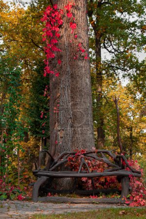 Herbst idyllische malerische Park-Umgebung Szene von Baum mit buntem Laub und roten Blättern und Bank, vertikales Foto