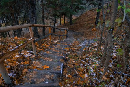 Land Treppe ländliche Umgebung Raum Spätherbst Saison Landschaft mit fallenden Blättern und leicht schneebedeckter Decke
