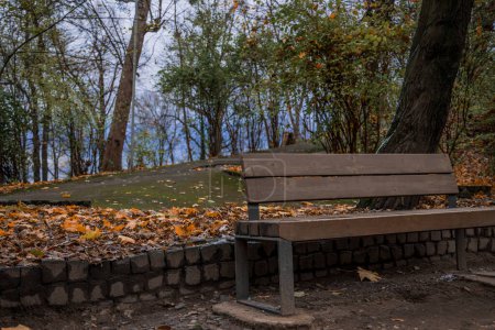 atmosphärische herbstliche Ästhetik Park im Oktober Zeit mit fallenden Blättern und kahlen Ästen Bäume rund um gestalterischen Punkt