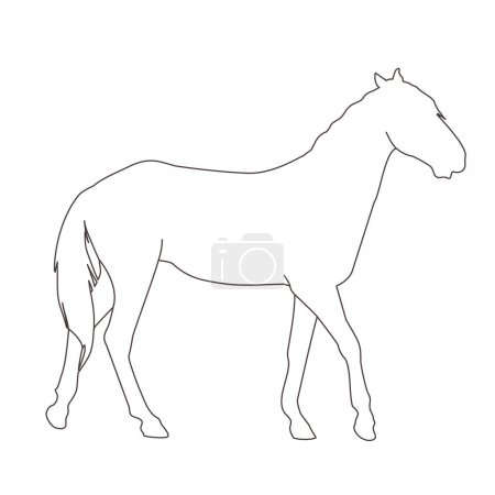 Vektor-Illustration einer schwarzen Silhouette eines Pferdes isoliert auf weißem Hintergrund. Das Thema Pferdesport, Tierhaltung und Tiermedizin