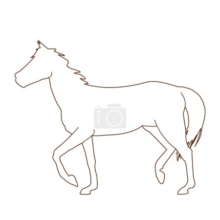 ilustración vectorial de una silueta negra de un caballo aislado sobre un fondo blanco. El tema de los deportes ecuestres, la ganadería y la medicina veterinaria