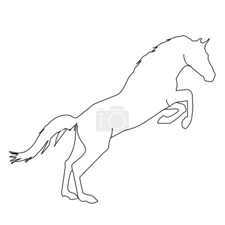 vector illustration of a black silhouette of a horse isolated on a white background. The theme of equestrian sports, animal husbandry and veterinary medicine
