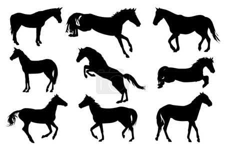 Eine Reihe von Vektorillustrationen mit Silhouetten von Pferden isoliert auf weißem Hintergrund. Hauptthema Pferdesport, Ausbildung, Tierhaltung und Veterinärmedizin