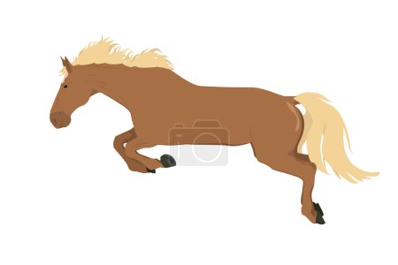Vektor-Illustration eines laufenden und springenden Pferdes in brauner Farbe isoliert auf weißem Hintergrund. Das Thema Pferdesport, Ausbildung und Tierhaltung. 