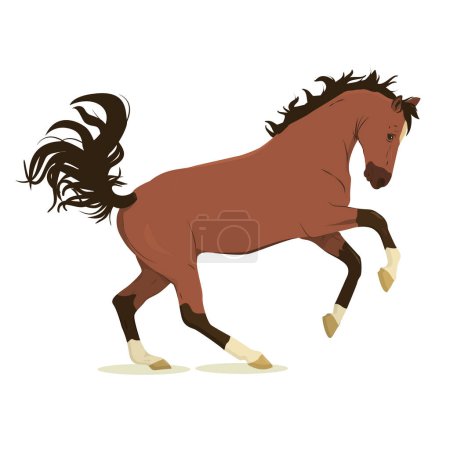 Vektorillustration eines springenden Pferdes. Vereinzelt auf weißem Hintergrund. Das Thema Pferdesport, Ausbildung und Tierhaltung