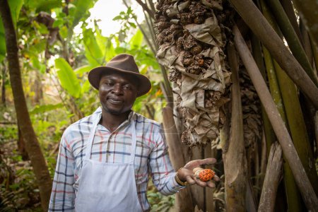 Foto de African farmer near a Raphia hookeri plant with the harvested fruit - Imagen libre de derechos