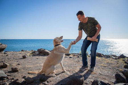 Ein Hundetrainer mit Hund am Strand macht Trainingsübungen und hält seine Pfote.