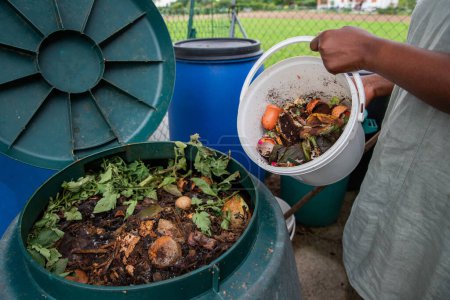 Téléchargez les photos : Une femme vide un seau de déchets organiques dans un bac à compost - en image libre de droit