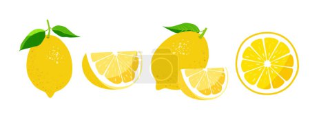 Set of fresh lemon fruits with leaves. Vector illustration isolated on a white background