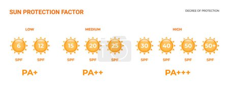 Factor de protección solar. Grado de protección SPF 15, 20, 30, 50. Ilustración vectorial.