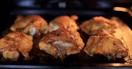 Chicken meat roasted in the oven