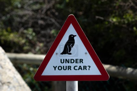 Téléchargez les photos : Alert road sign for Penguin, Boulders beach, South Africa - en image libre de droit