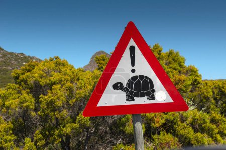 Téléchargez les photos : Beware of turtles Cape of Good Hope, South Africa - en image libre de droit