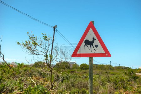 Téléchargez les photos : Beware of fawns road sign, South Africa - en image libre de droit