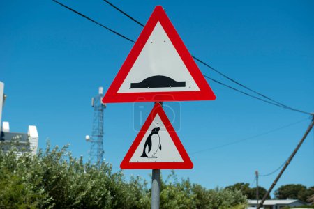 Téléchargez les photos : Beware of penguins road sign, South Africa - en image libre de droit