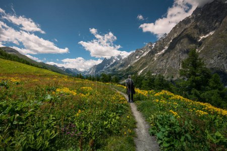 Téléchargez les photos : Randonnée dans les Alpes, Vallée d'Aoste - en image libre de droit