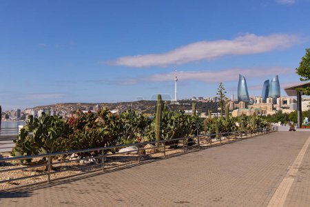 Photo for Baku. Azerbaijan. 05.27.2021. Cactus plantation on Primorsky Boulevard. - Royalty Free Image