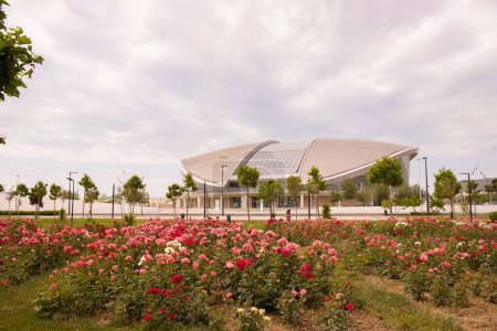 Foto de Bakú. Azerbaiyán. 05.27.2021. Hermosas rosas en el palacio de deportes acuáticos. - Imagen libre de derechos
