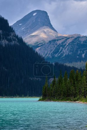 Téléchargez les photos : Green water of Sherbrooke Lake, Yoho National Park, BC beneath a backdrop of steep forested mountains, Yoho National Park, BC - en image libre de droit