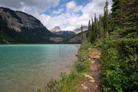 Téléchargez les photos : Trail runs right along the edge of Sherbrooke Lake leading the visitor towards steep, partly forested mountains in Yoho National Park in Canada's Rockies. - en image libre de droit