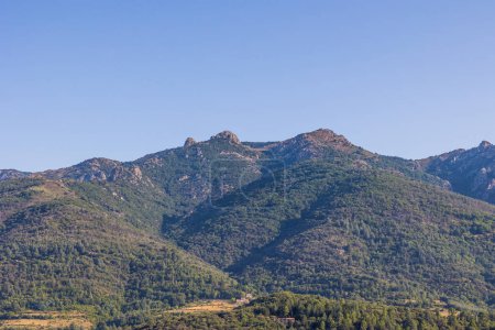 Téléchargez les photos : Forest and mountains around the village of Olargues in the Haut-Languedoc Regional Nature Park - en image libre de droit