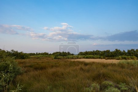 Kleiner Sumpf von Candillargues bei Sonnenuntergang, nach dem Sommer völlig ausgetrocknet