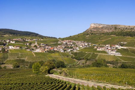 Téléchargez les photos : Roche du Vergisson, son village et son vignoble, depuis le sommet de la Roche du Solutre, en Bourgogne - en image libre de droit
